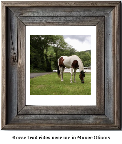 horse trail rides near me in Monee, Illinois